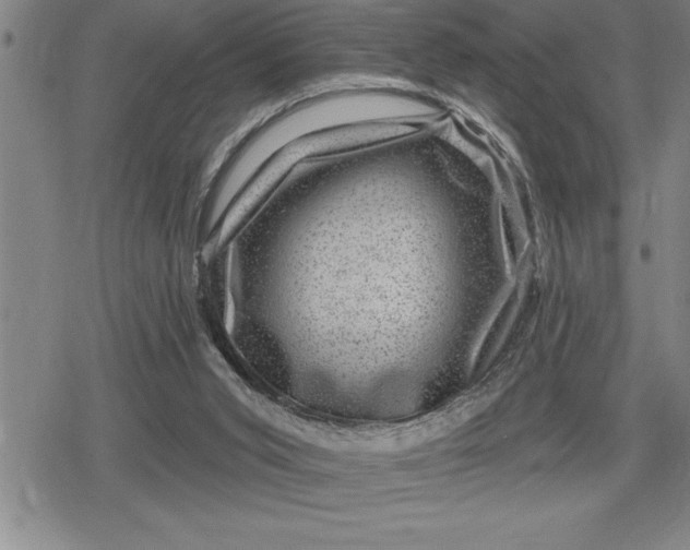 X0000080200015200612221417