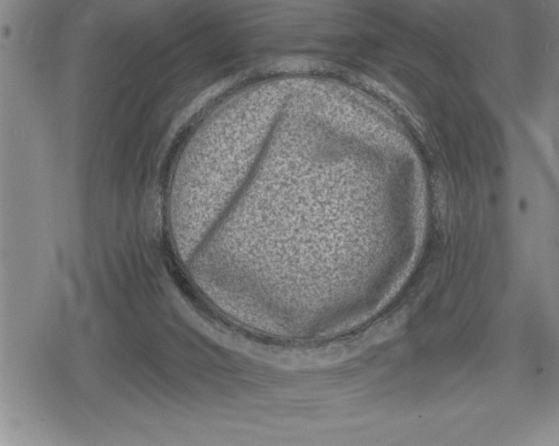 X0000080200016200612221417