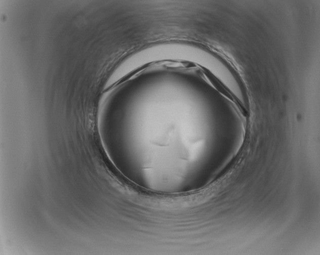 X0000080200017200612221417