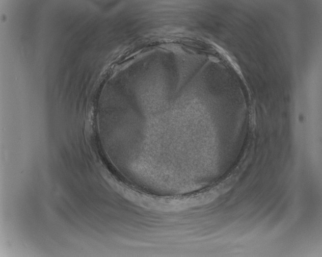 X0000080200018200612221417