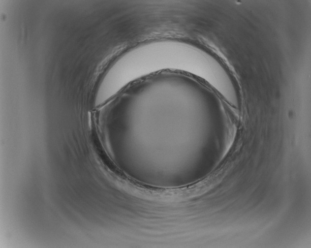 X0000080200019200612221417