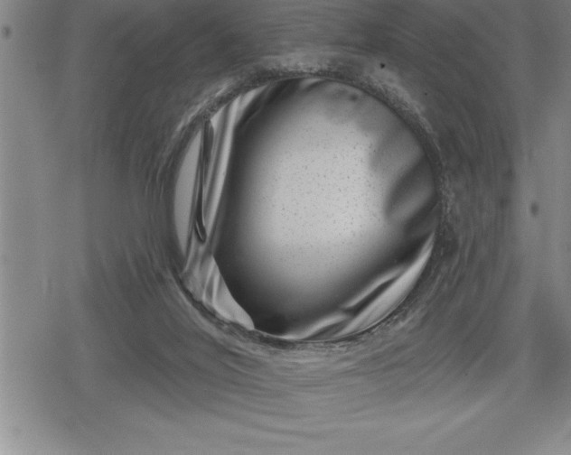 X0000080200020200612221417