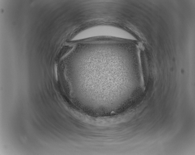 X0000080200022200612221417