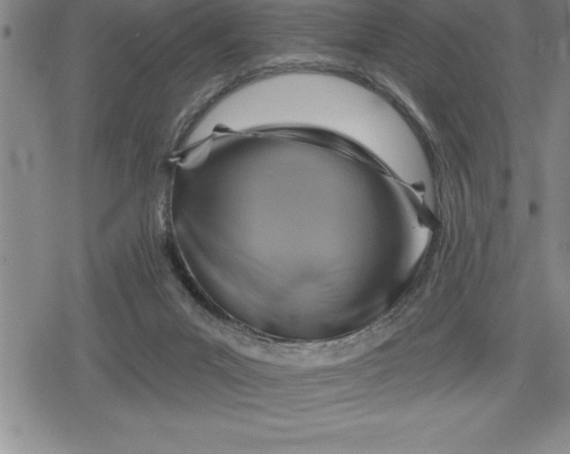 X0000080200023200612221417