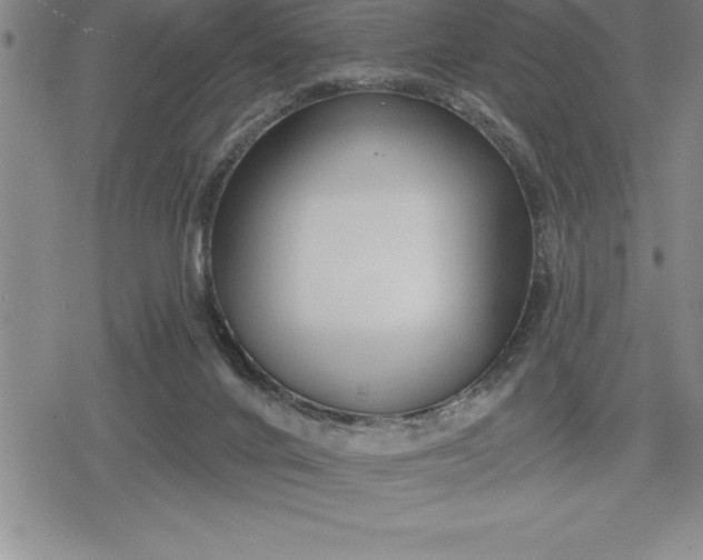 X0000080200024200612221417