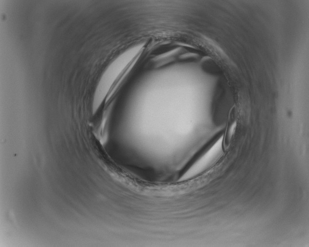 X0000080200025200612221417