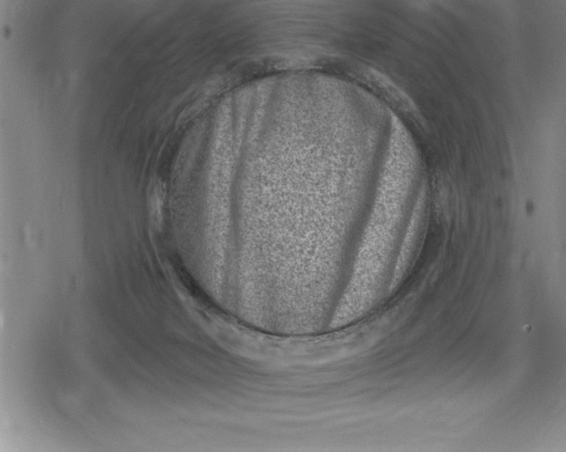 X0000080200026200612221417