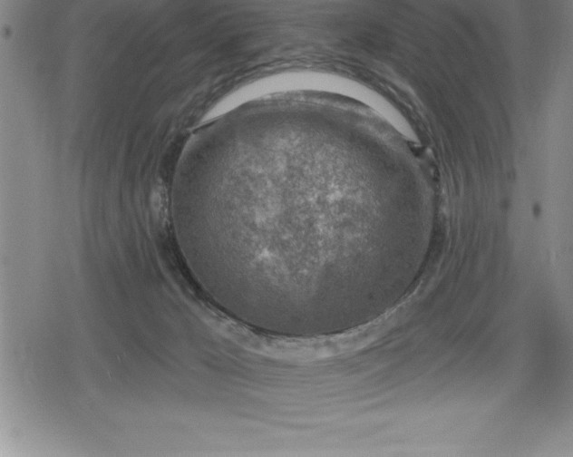 X0000080200029200612221417