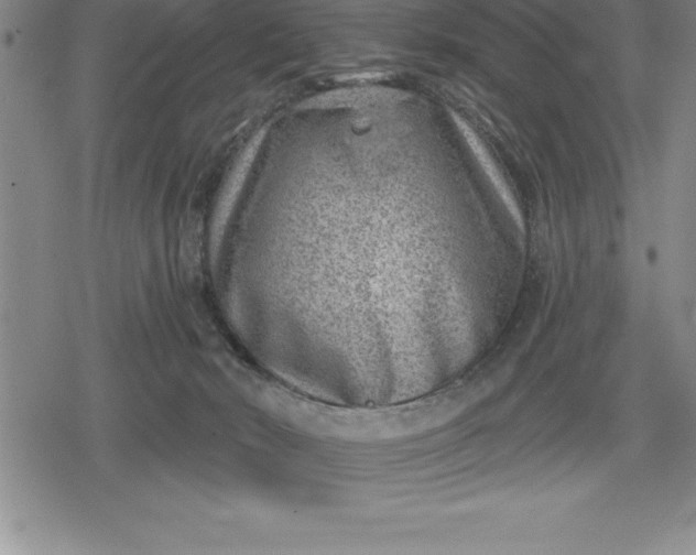 X0000080200030200612221417