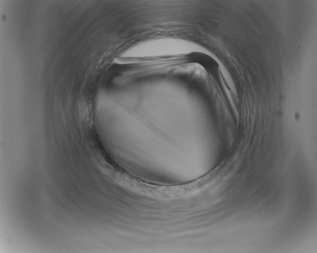 X0000080200031200612221417