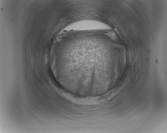 X0000080200032200612221417