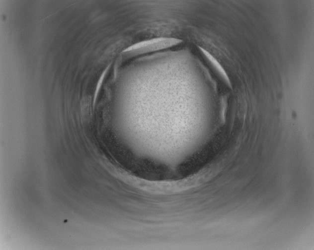 X0000080200034200612221417