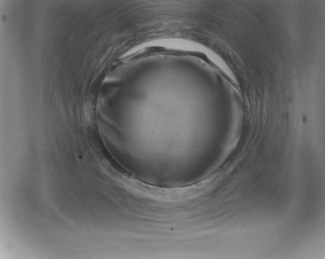 X0000080200035200612221416