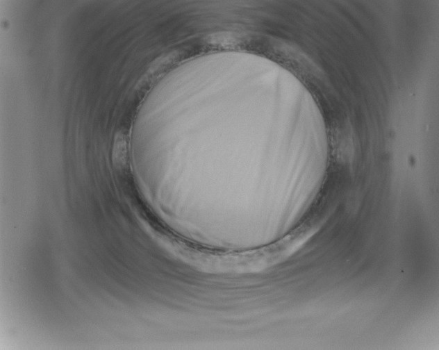 X0000080200036200612221416