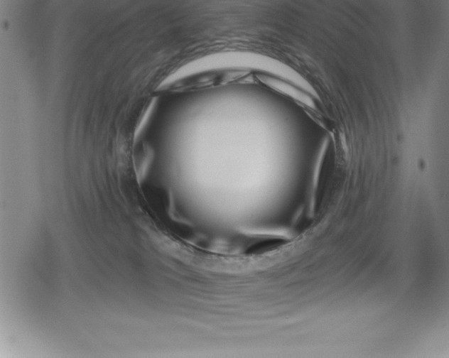 X0000080200037200612221416