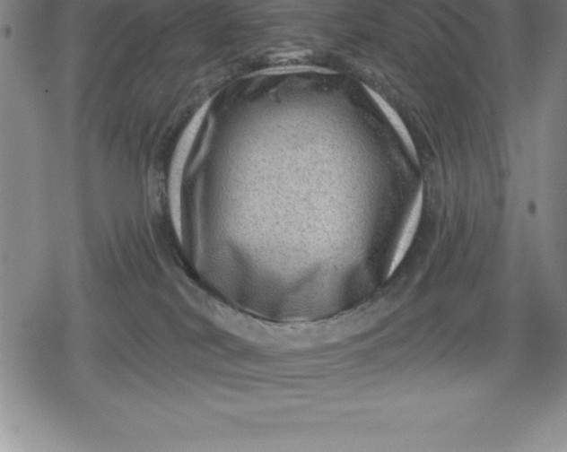 X0000080200038200612221416