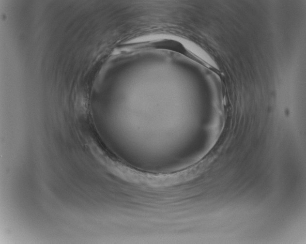 X0000080200039200612221416