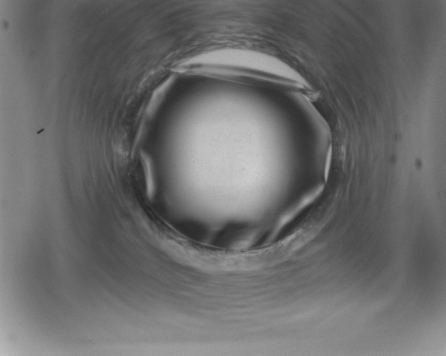 X0000080200040200612221416