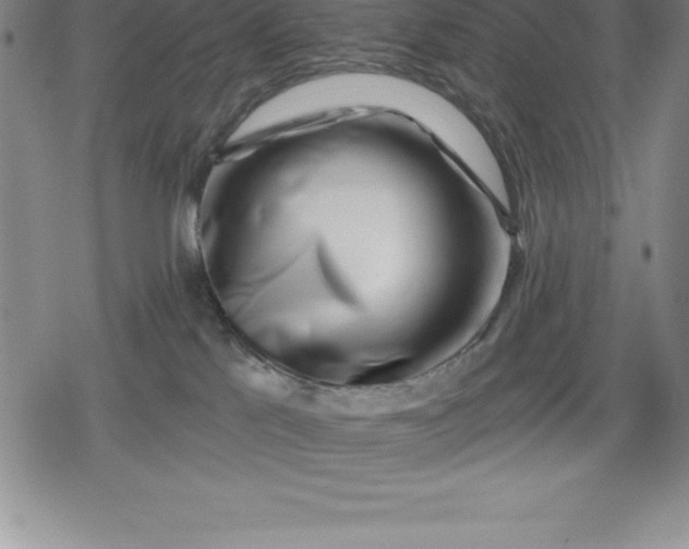 X0000080200041200612221416