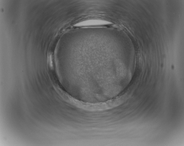 X0000080200042200612221416