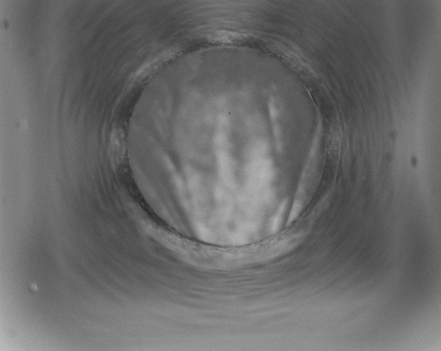 X0000080200043200612221416