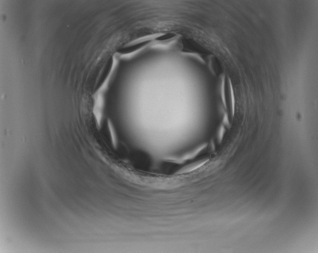 X0000080200044200612221416