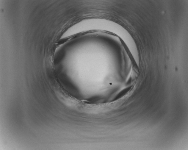 X0000080200045200612221416