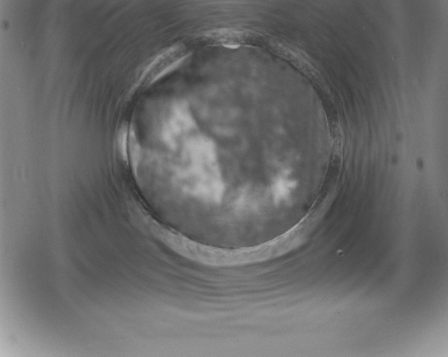 X0000080200047200612221416