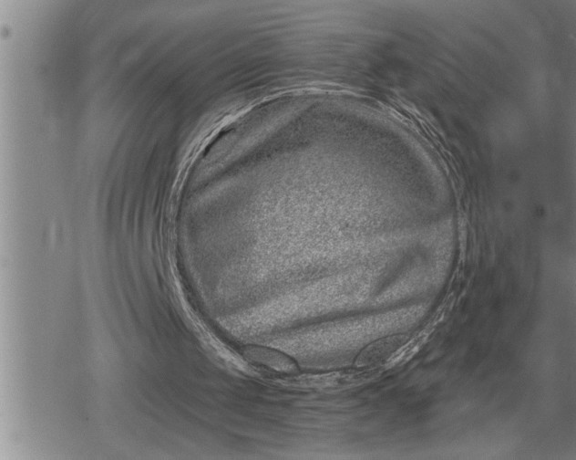 X0000080200049200612221415