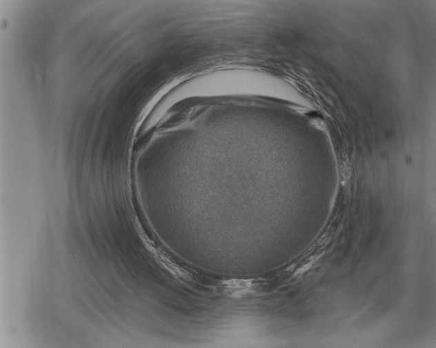 X0000080200052200612221416