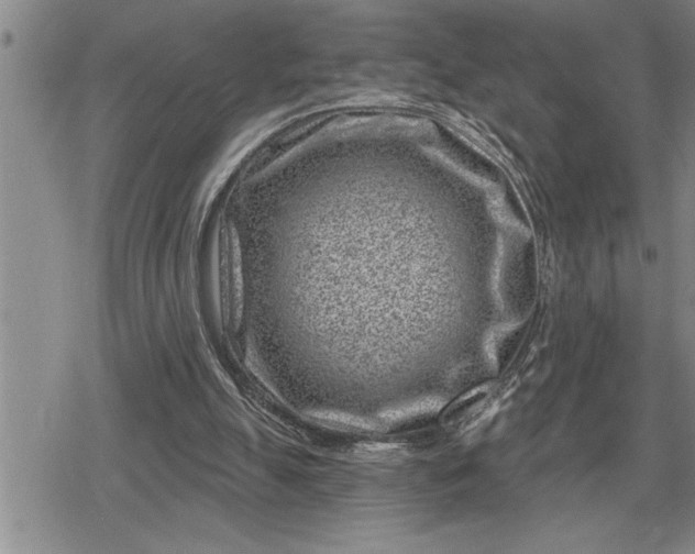 X0000080200055200612221416