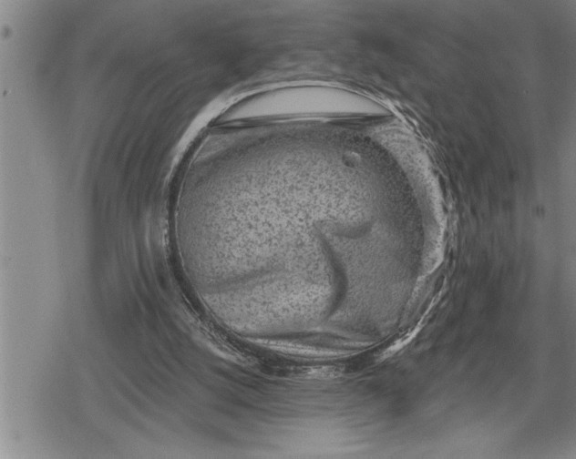 X0000080200056200612221416