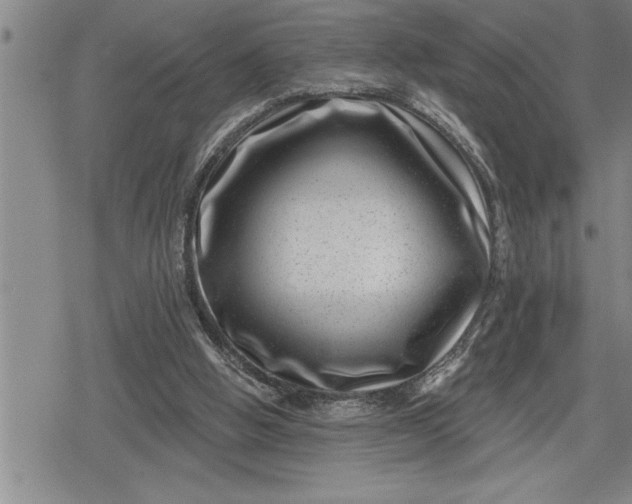 X0000080200058200612221416