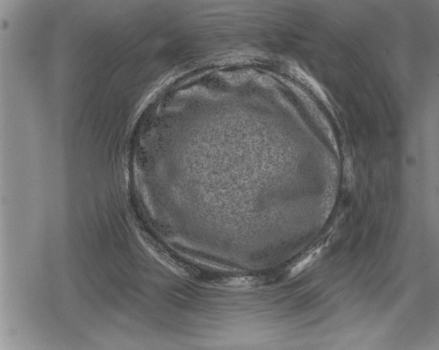 X0000080200059200612221416