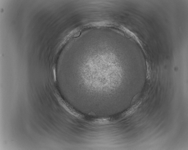 X0000080200061200612221416