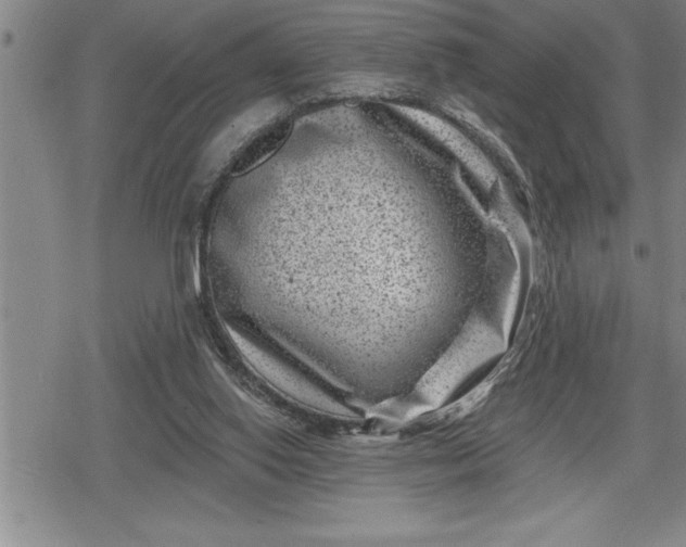 X0000080200062200612221416