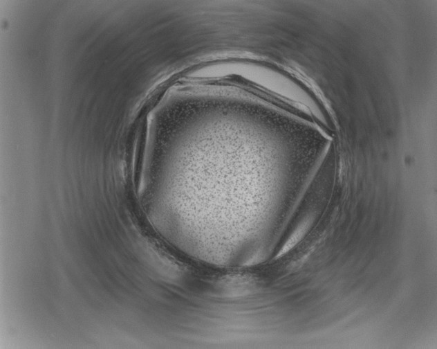 X0000080200063200612221416