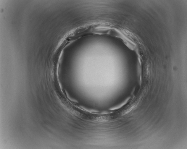 X0000080200064200612221416