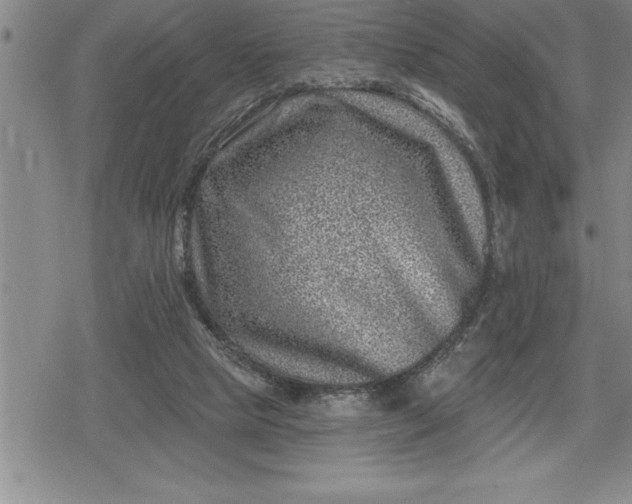 X0000080200065200612221416