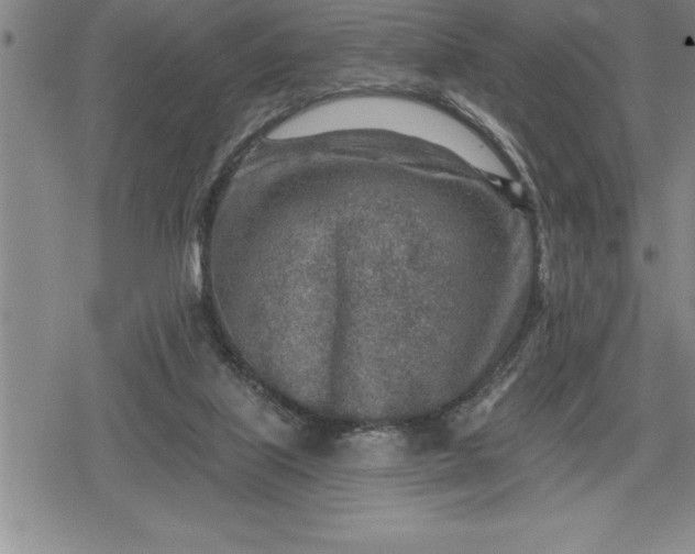 X0000080200067200612221416