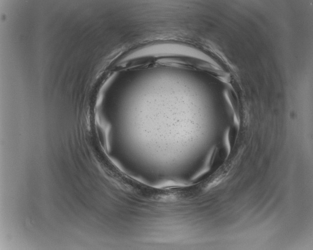 X0000080200068200612221416