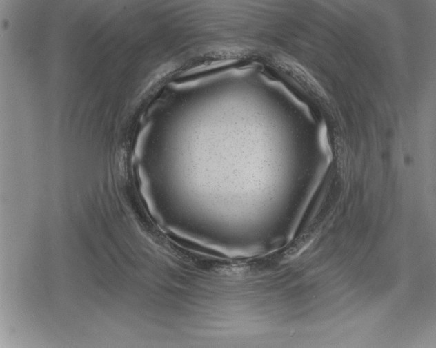 X0000080200071200612221416