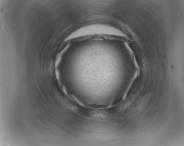 X0000080200073200612221416