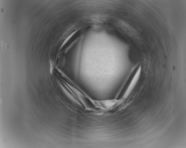 X0000080200075200612221416