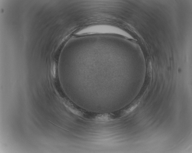 X0000080200076200612221416