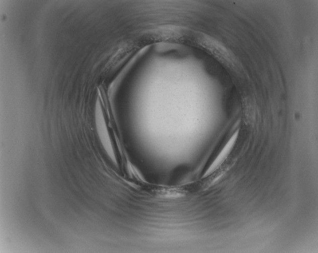 X0000080200077200612221416