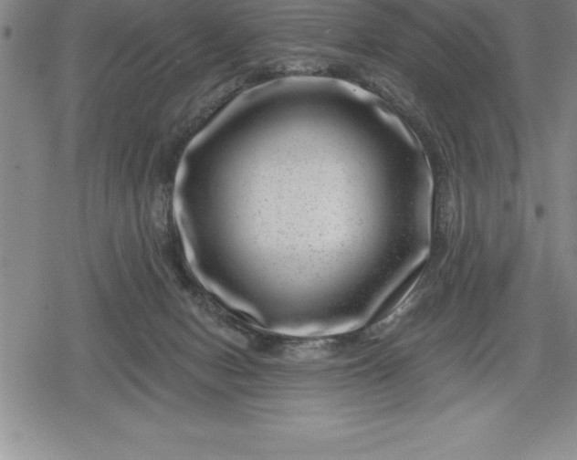 X0000080200078200612221416