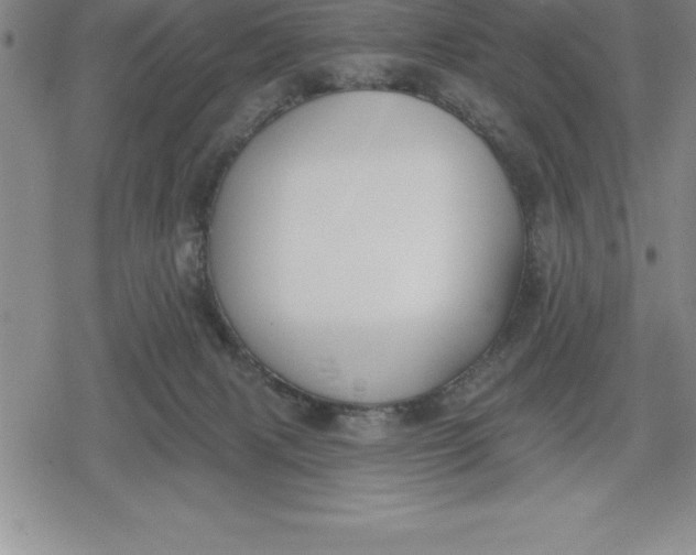 X0000080200079200612221416