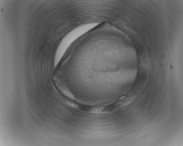 X0000080200080200612221416