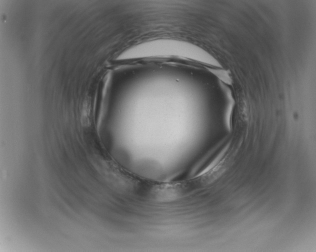 X0000080200082200612221416